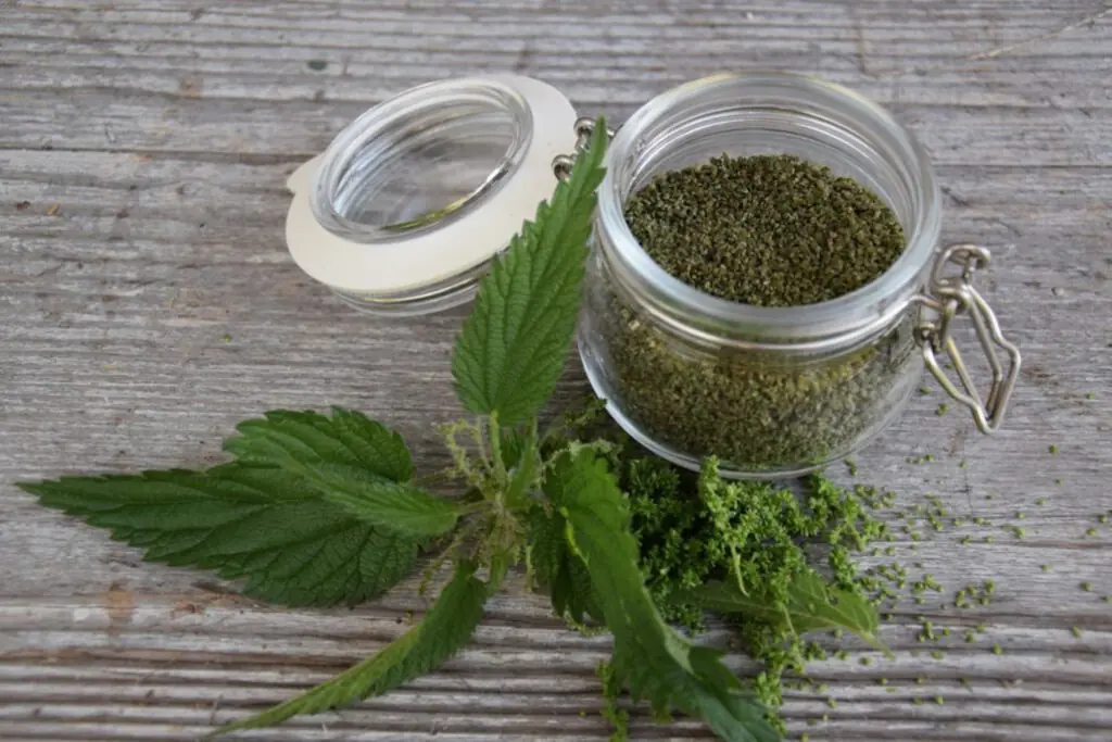 Grüne Küche Brennnesselsamen im Glas